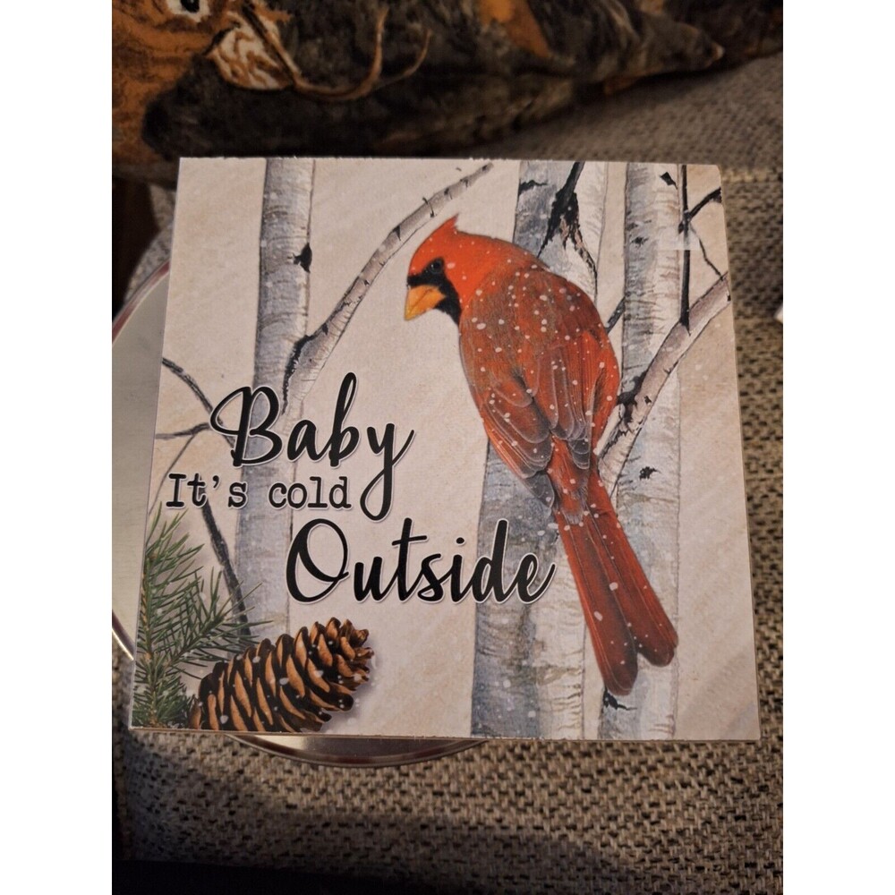 Wood Cardinal Christmas Snowman Baby It’s‎ Cold Out Wall  Home Decor 6X6 Sign